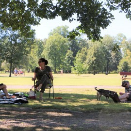 powiększ zdjęcie: Spotkajmy się na pikniku przyjaciół parku