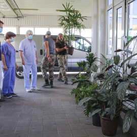 Podarowaliśmy egzotyczne rośliny z palmiarni legnickiemu szpitalowi