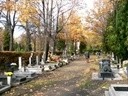 Legnicki Cmentarz Komunalny – 189 letnia nekropolia