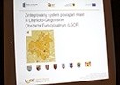 Zakończono realizację projektu powiązań transportowych w Legnicko-Głogowskim Obszarze Funkcjonalnym